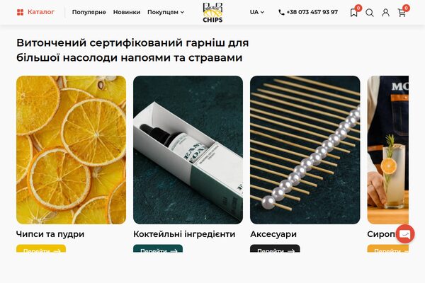 parovozchips.com